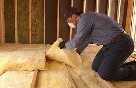 Eco-Friendly or Green Insulation Solutions in Cactus, TX